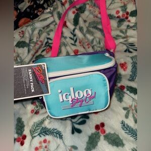 Igloo Retro Fanny Pack in Blue and Purple